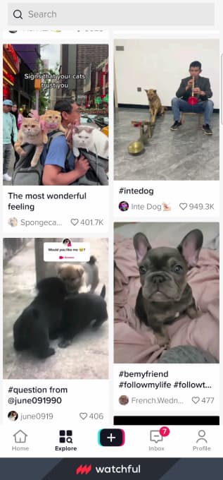 Captura de tela da prévia do novo menu do TikTok, o "Explorar"