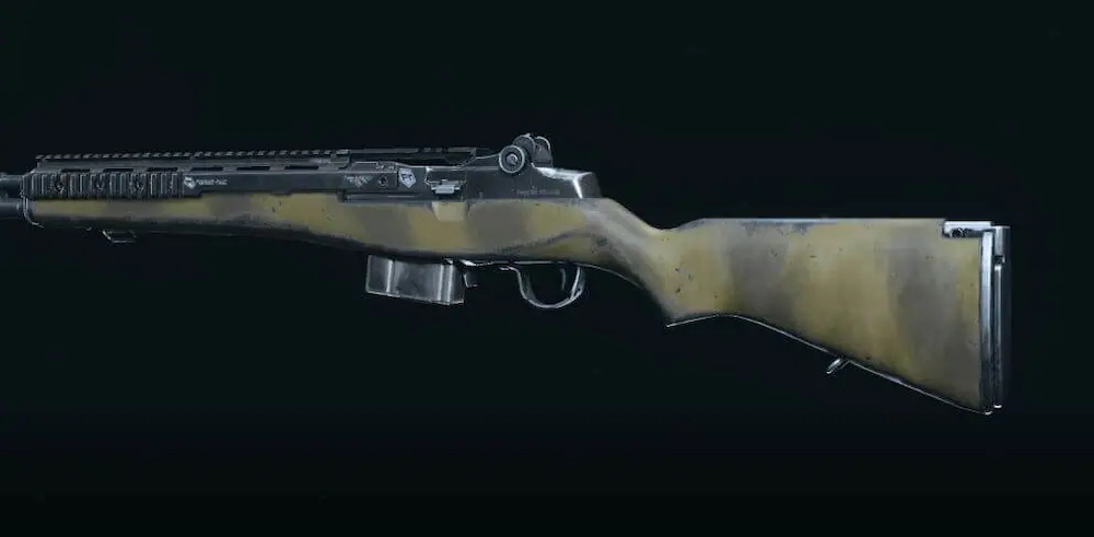 EBR Loadout Warzone