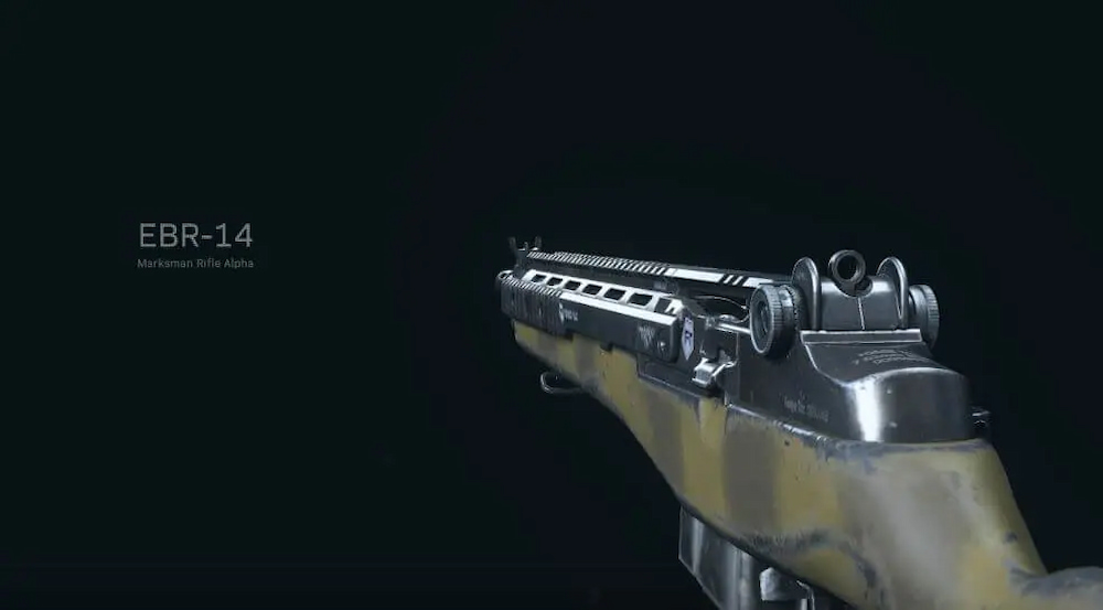 Warzone EBR Loadout