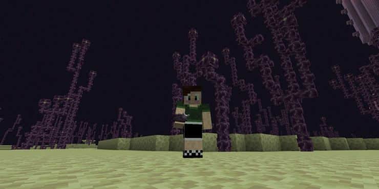 Minecraft