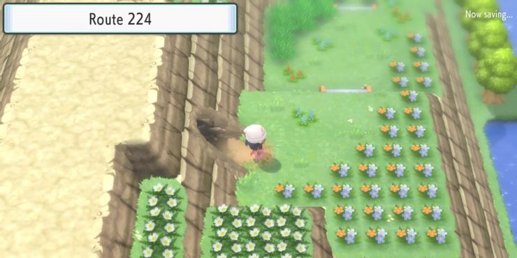 Pokemon Brilliant Diamond and Shining Pear