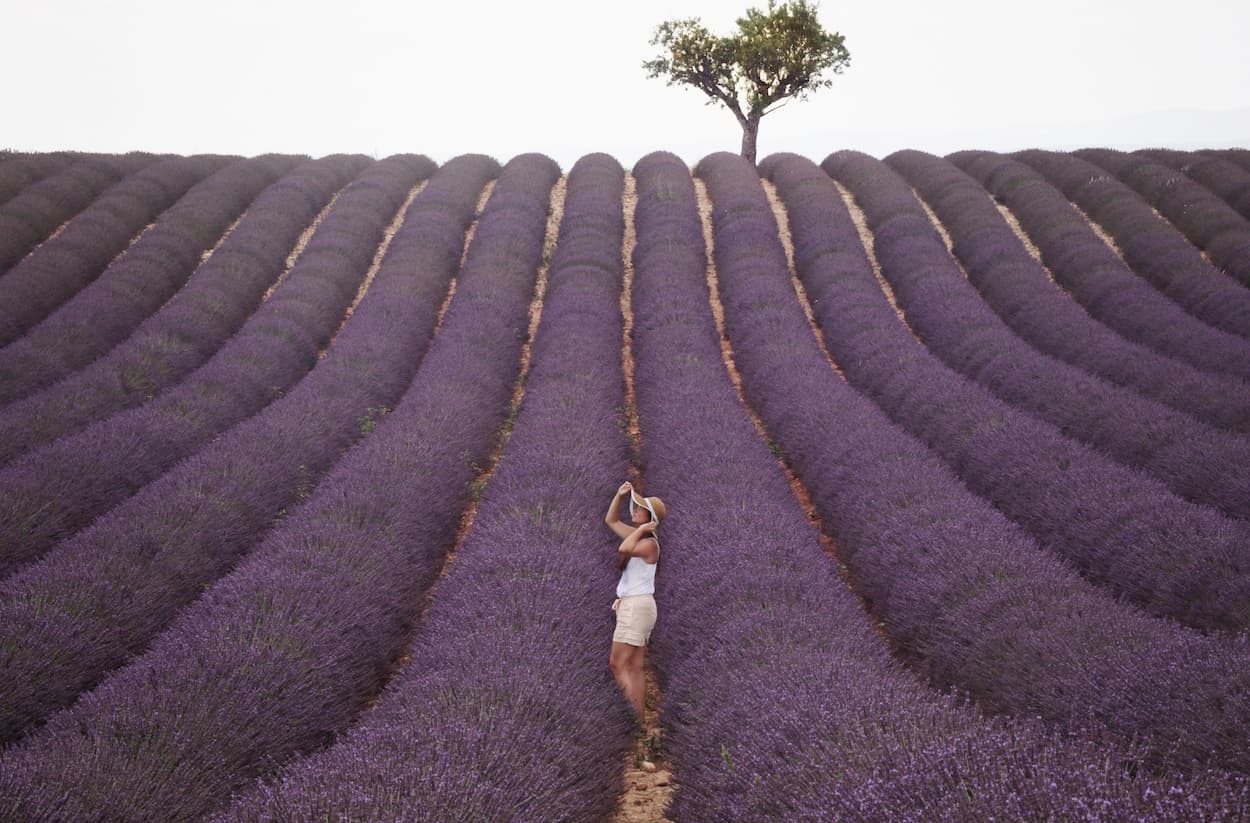 Mulher em campo lavanda