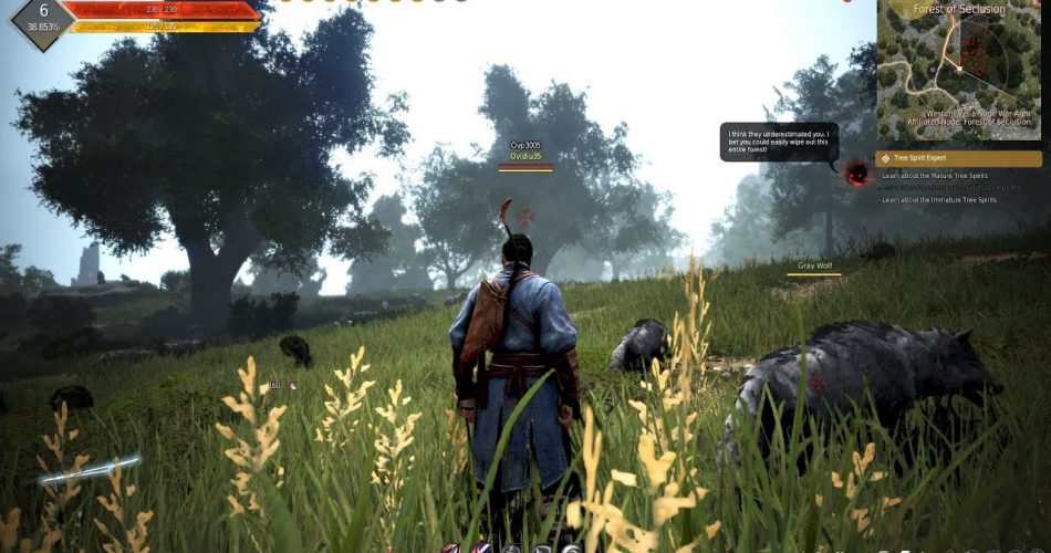 Gameplay de Black Desert